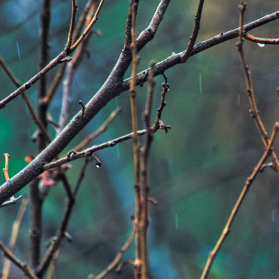 MARWAN HOURANY, 0-10 9